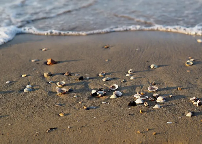 아파트 One Bedroom With Stunning Sea View